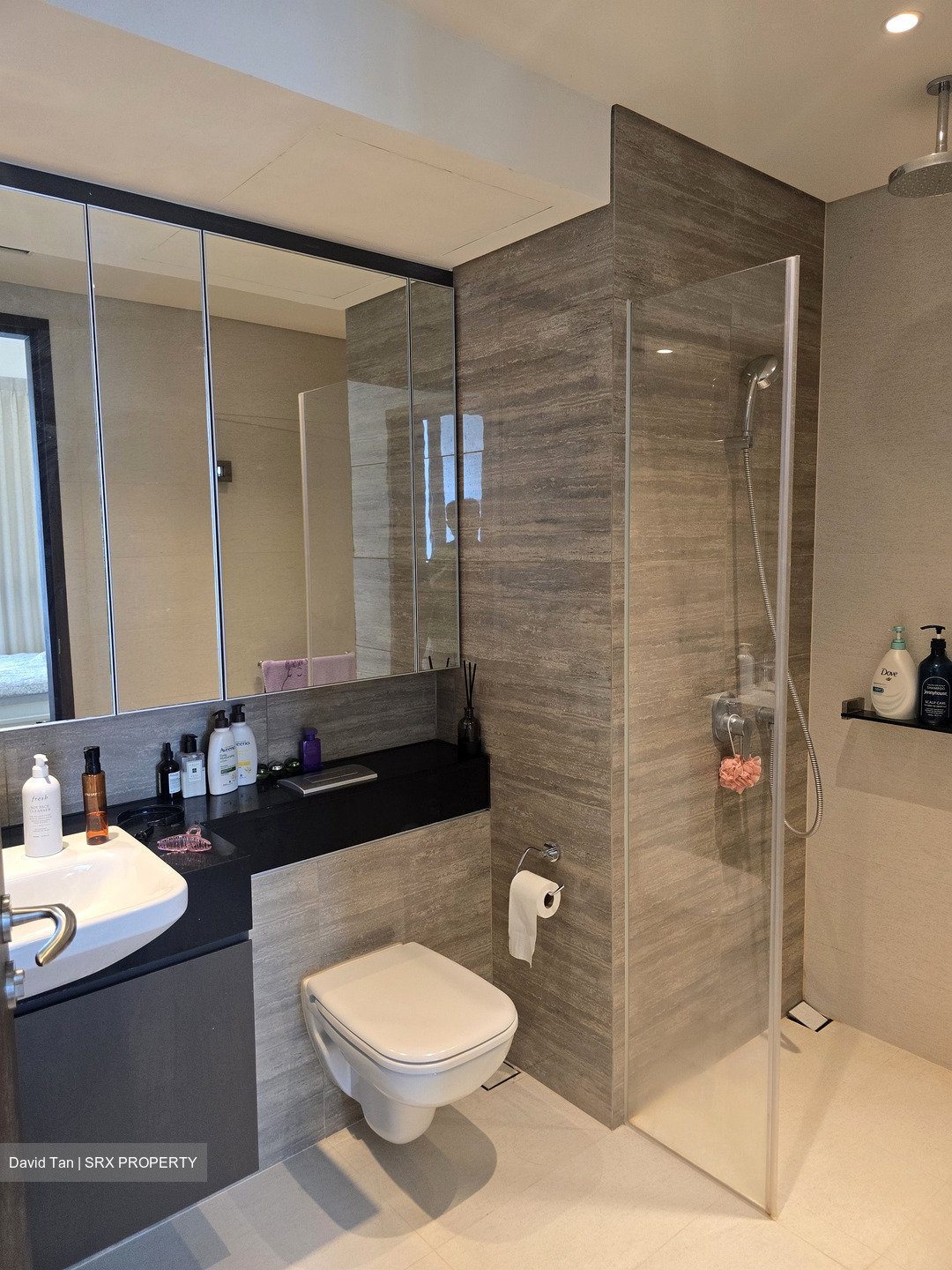 Park Place Residences At Plq (D14), Apartment #506359891